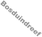 Bosduindreef