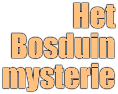HetBosduinmysterie