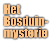 HetBosduin- mysterie