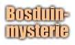 Bosduin-mysterie