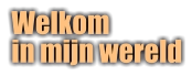 Welkom in mijn wereld