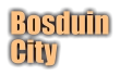 BosduinCity