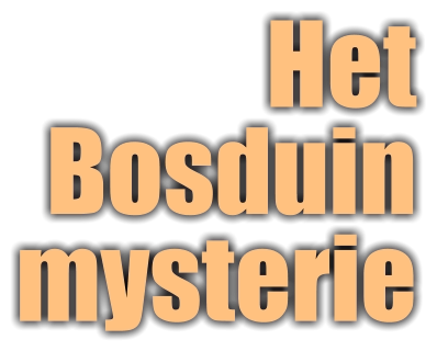 HetBosduin mysterie